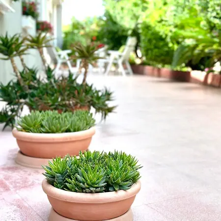 Holiday home Rosaria Santa Maria Del Focallo